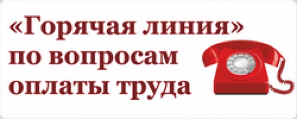 Вопросы оплаты. Горячая линия по оплате труда. Горячая линия оплаты труда. Телефон горячей линии по вопросам оплаты труда. «Горячая линия» по вопросам оплаты труда педагогических работников.